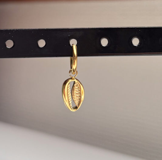 Creool schelpje