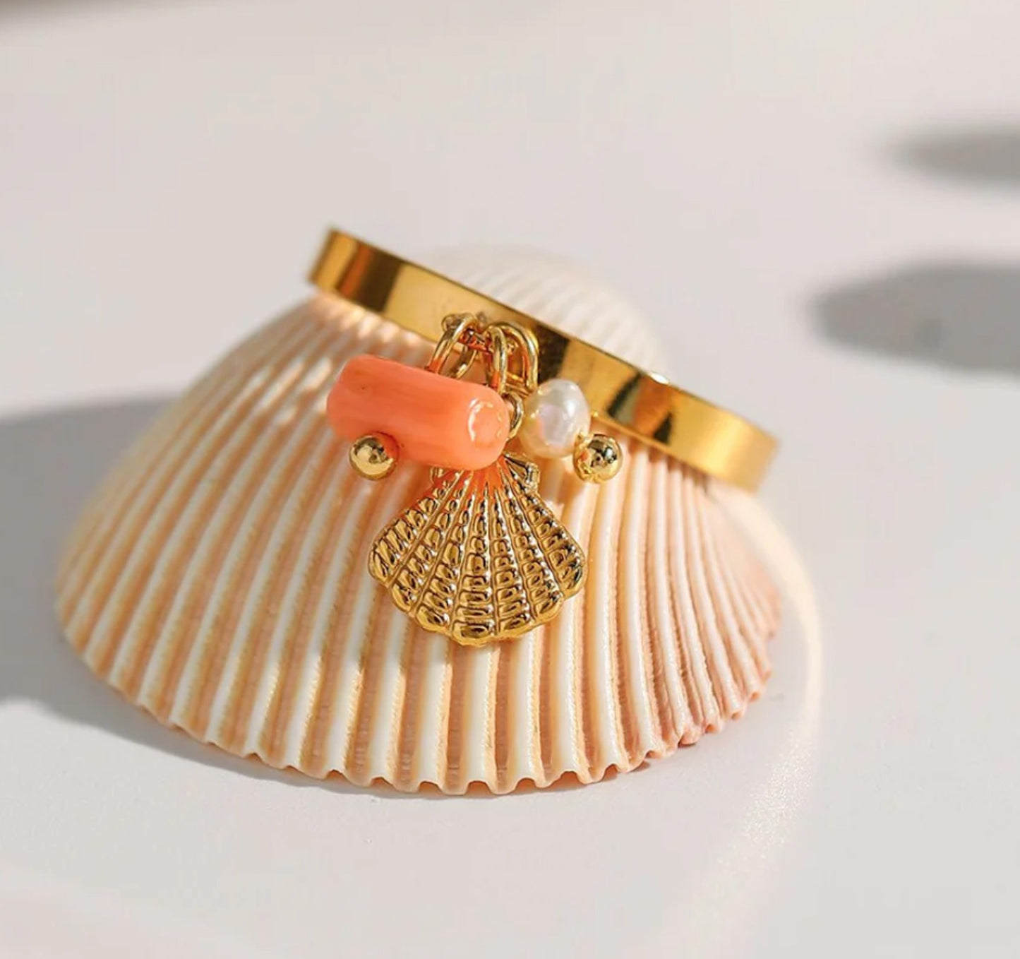 Ring hangertjes
