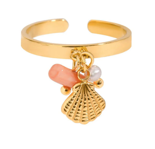 Ring hangertjes